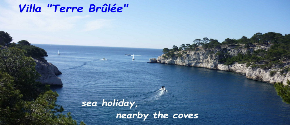 holiday villa la ciotat cote d azur