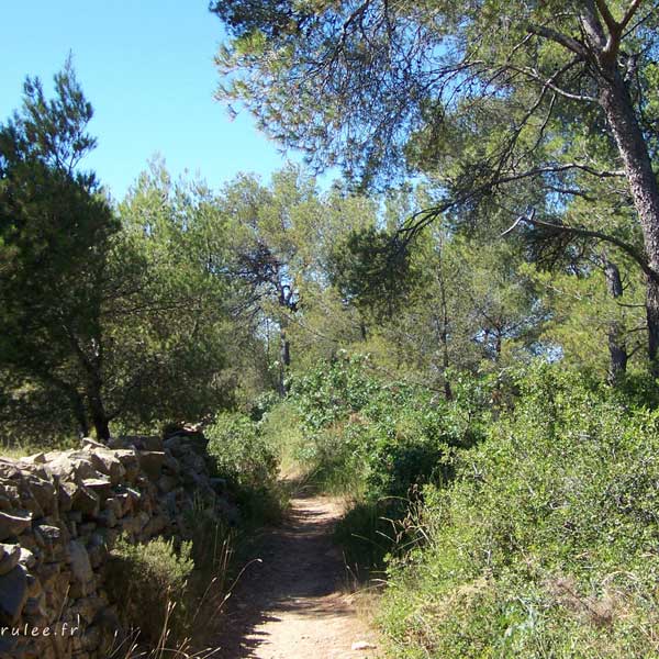 sentier de randonnee ceyreste la ciotat